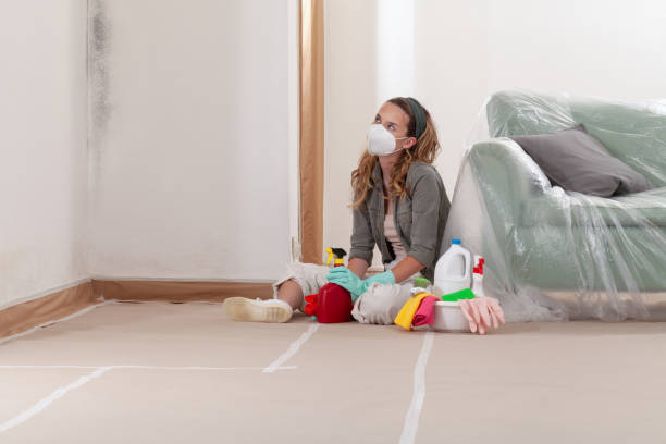 Reliable Bathroom Mold Removal contractor in Delaplane, VA by WQB Mold Removal